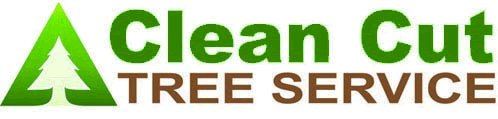 Clean Cut Tree Care